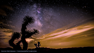 Illustration for article titled Camelopardalids over Joshua Trees
